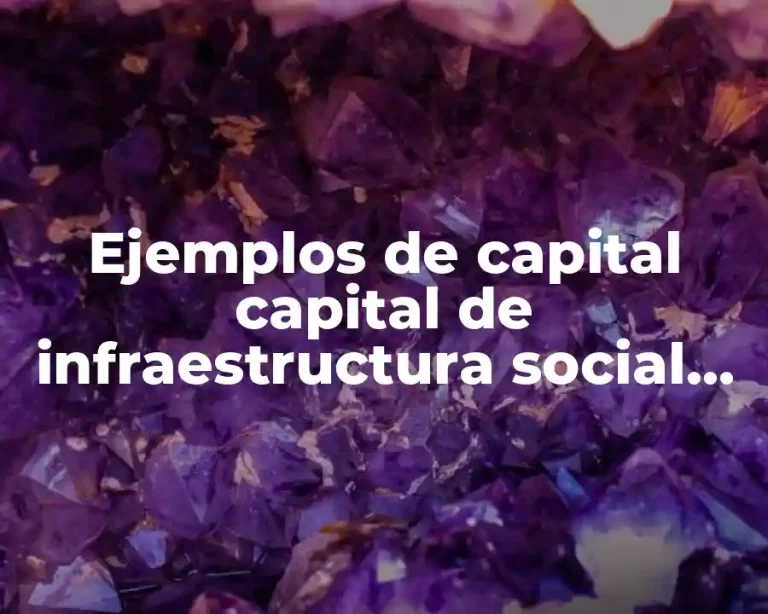 Ejemplos de capital capital de infraestructura social del gobierno