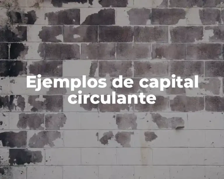 Ejemplos de capital circulante