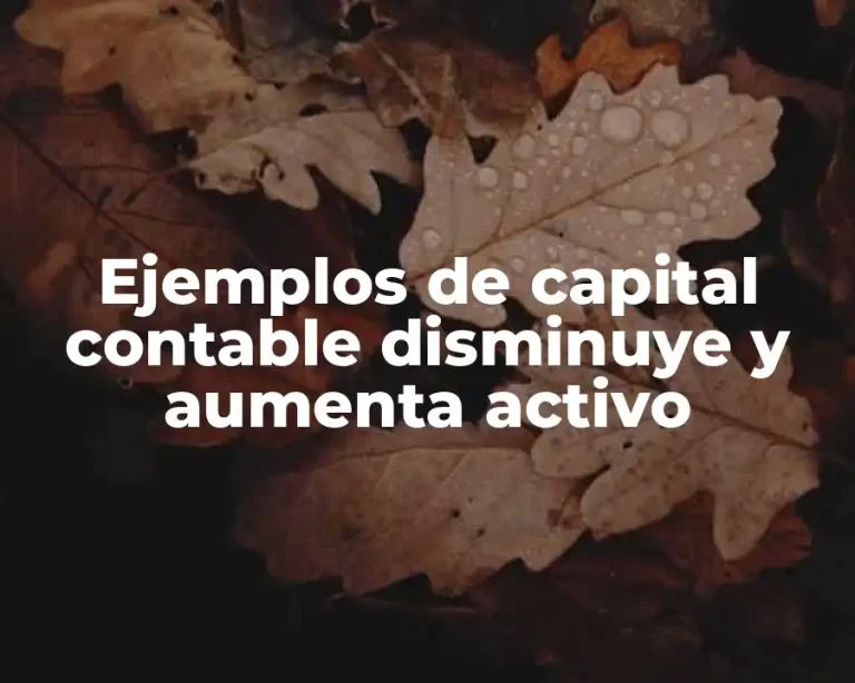 Ejemplos de capital contable disminuye y aumenta activo