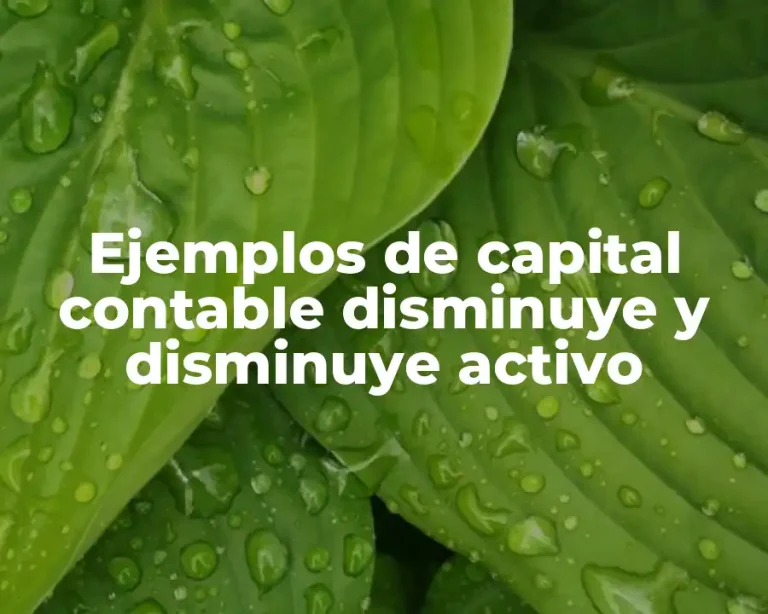 Ejemplos de capital contable disminuye y disminuye activo
