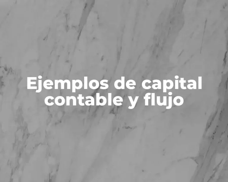 Ejemplos de capital contable y flujo