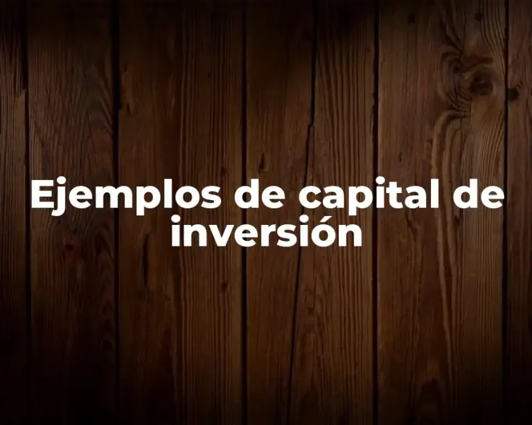 Ejemplos de capital de inversión