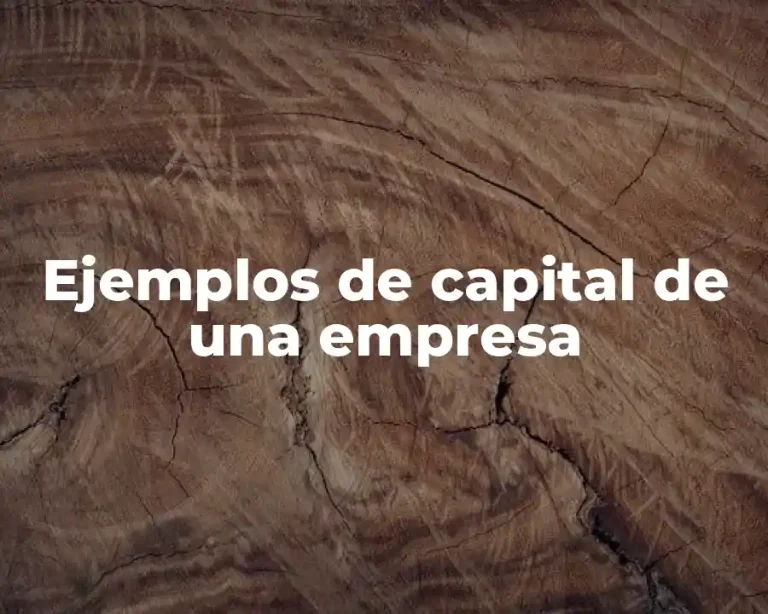 Ejemplos de capital de una empresa