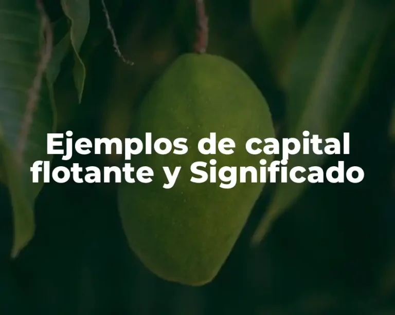 Ejemplos de capital flotante y Significado