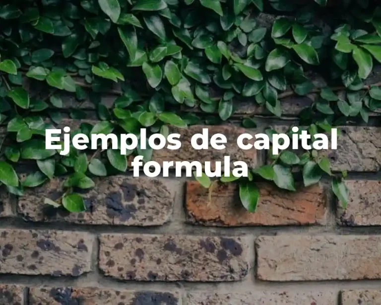 Ejemplos de capital formula