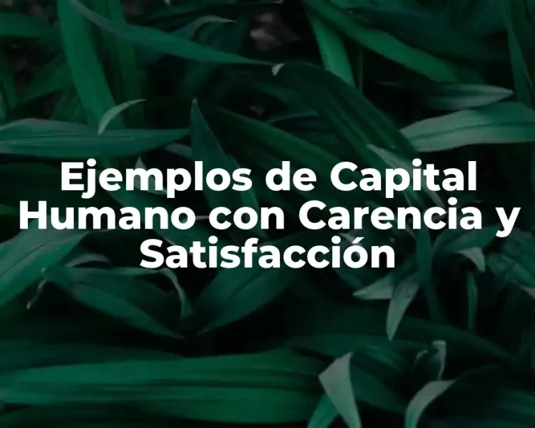 Ejemplos de Capital Humano con Carencia y Satisfacción