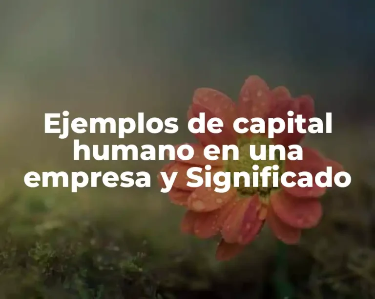 Ejemplos de capital humano en una empresa y Significado