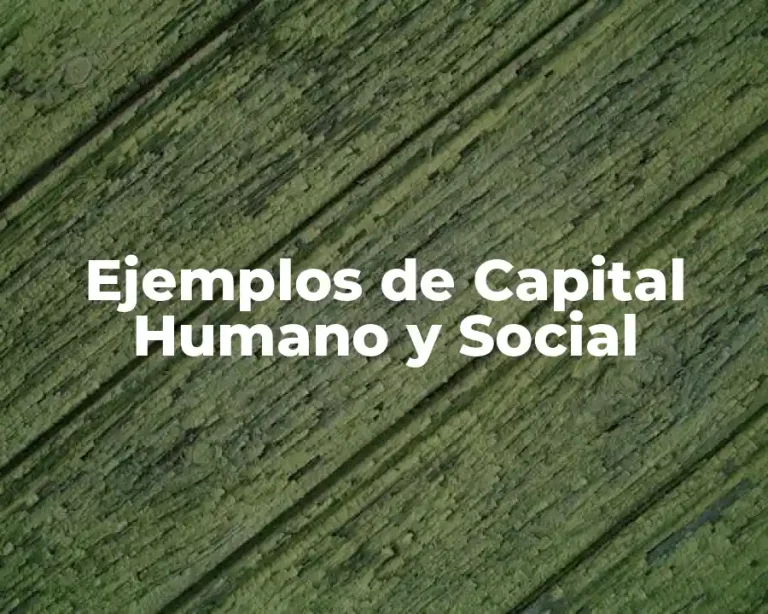 Ejemplos de Capital Humano y Social