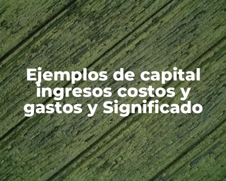 Ejemplos de capital ingresos costos y gastos y Significado