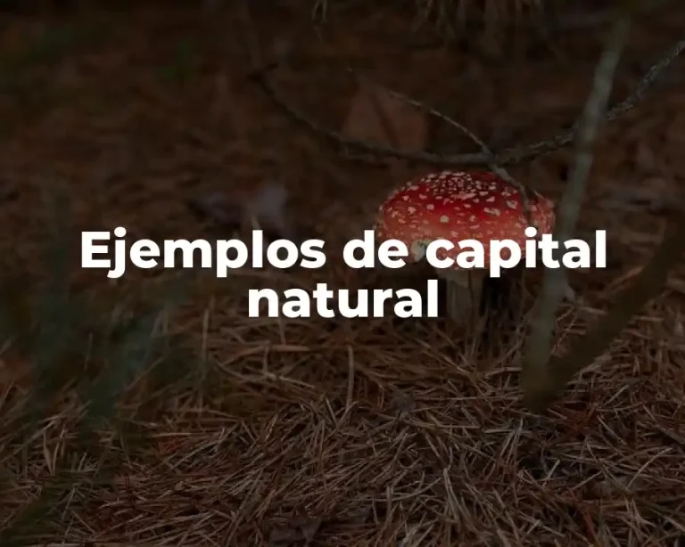 Ejemplos de capital natural