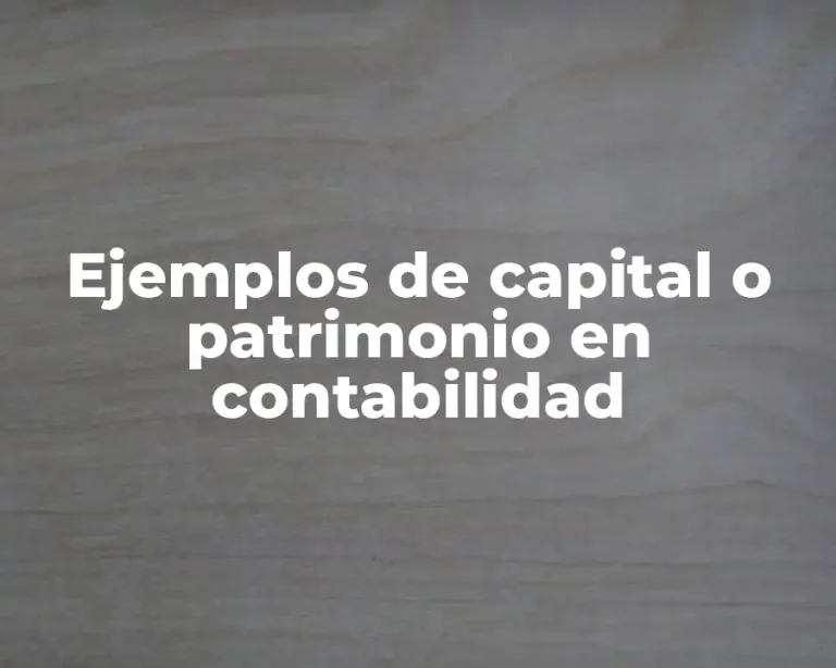 Ejemplos de capital o patrimonio en contabilidad