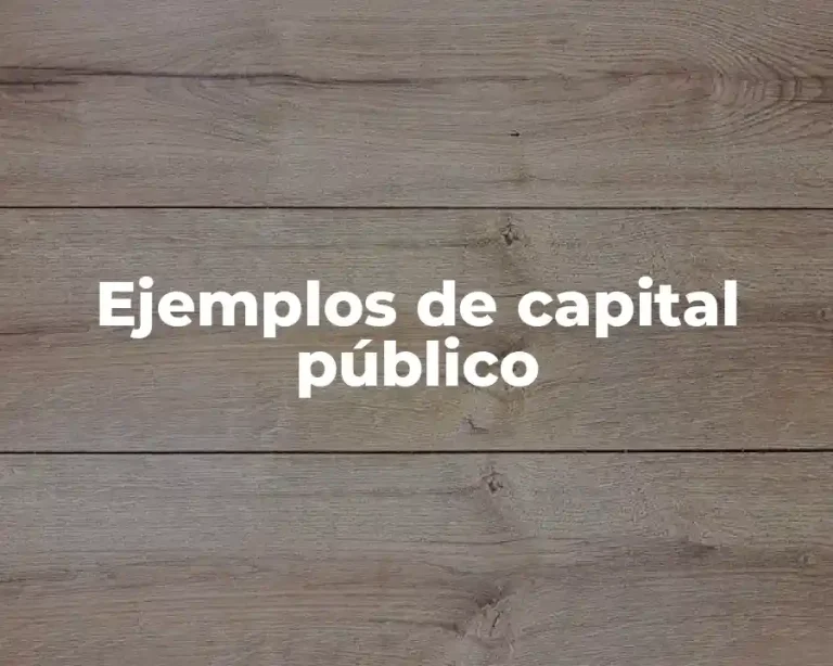 Ejemplos de capital público