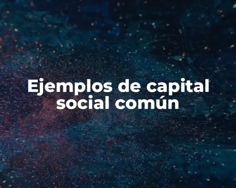 Ejemplos de capital social común