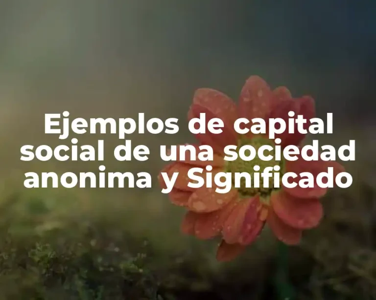 Ejemplos de capital social de una sociedad anonima y Significado