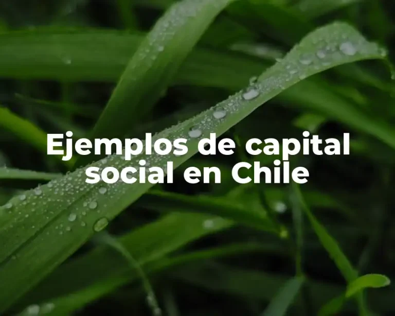 Ejemplos de capital social en Chile