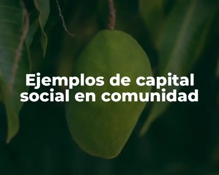 Ejemplos de capital social en comunidad