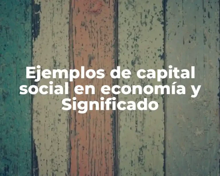 Ejemplos de capital social en economía y Significado
