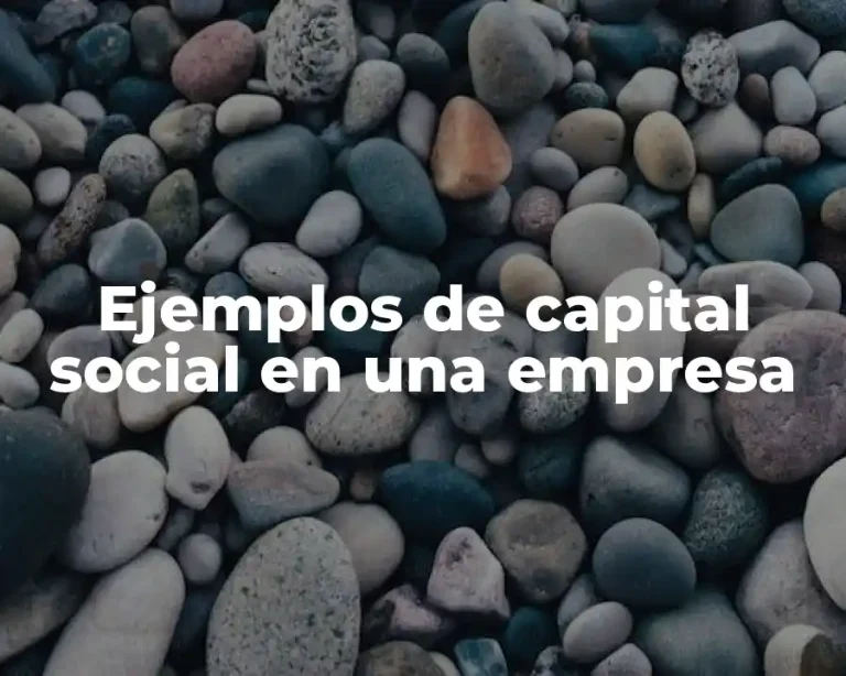Ejemplos de capital social en una empresa