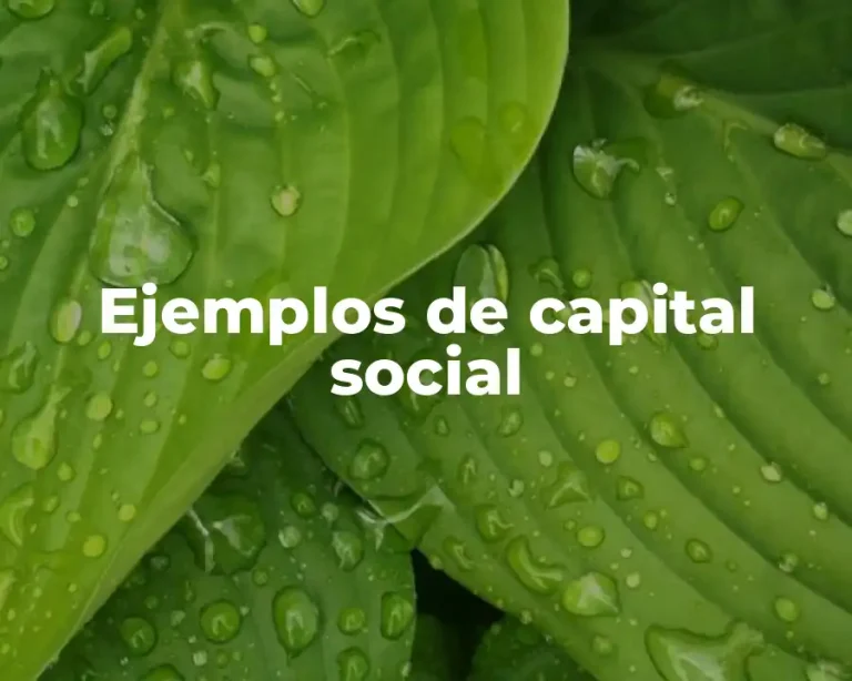 Ejemplos de capital social