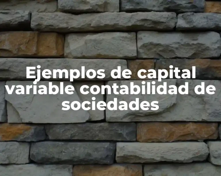 Ejemplos de capital variable contabilidad de sociedades