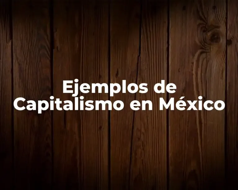 Ejemplos de Capitalismo en México