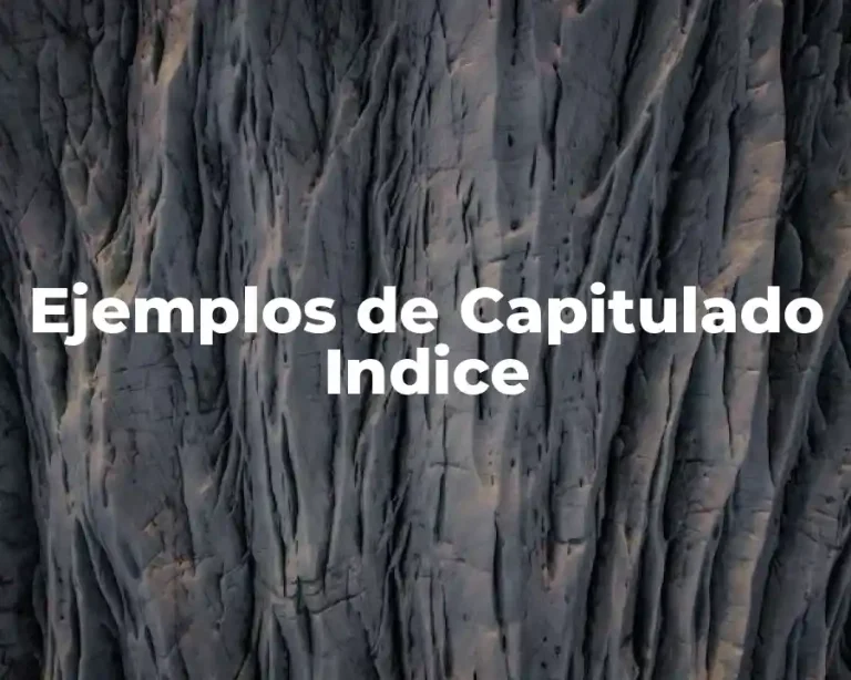 Ejemplos de Capitulado Indice