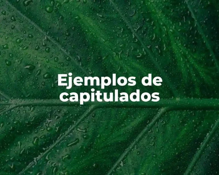 Ejemplos de capitulados