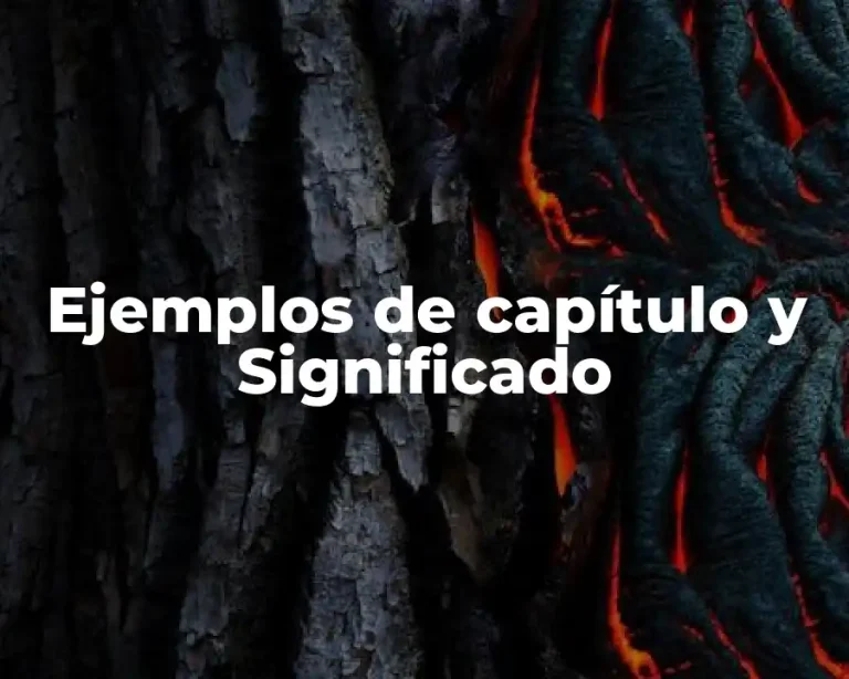 Ejemplos de capítulo y Significado