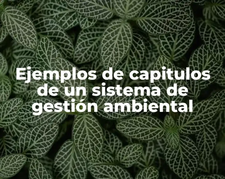 Ejemplos de capitulos de un sistema de gestión ambiental