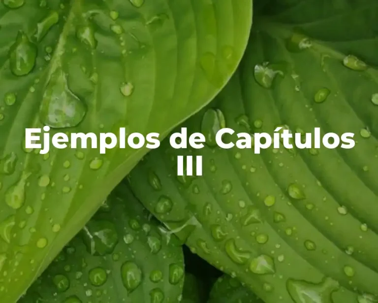 Ejemplos de Capítulos III