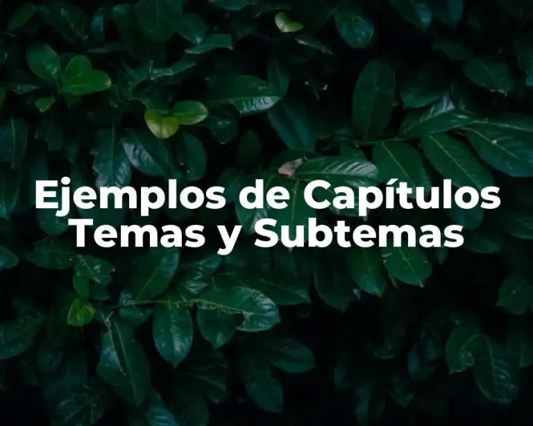 Ejemplos de Capítulos Temas y Subtemas