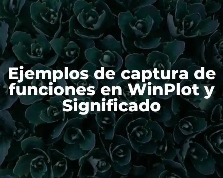 Ejemplos de captura de funciones en WinPlot y Significado