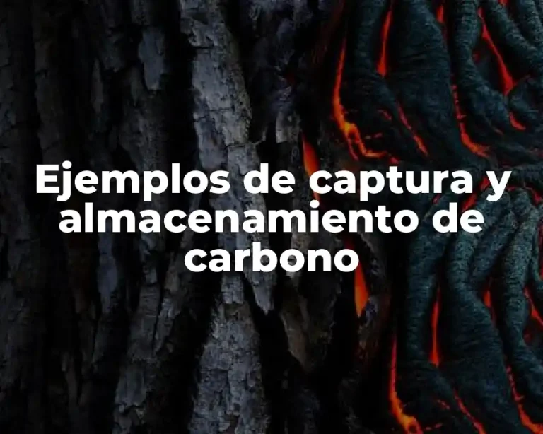Ejemplos de captura y almacenamiento de carbono
