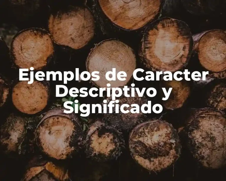 Ejemplos de Caracter Descriptivo y Significado