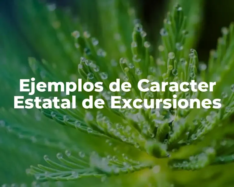 Ejemplos de Caracter Estatal de Excursiones