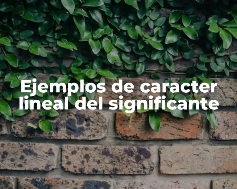 Ejemplos de caracter lineal del significante