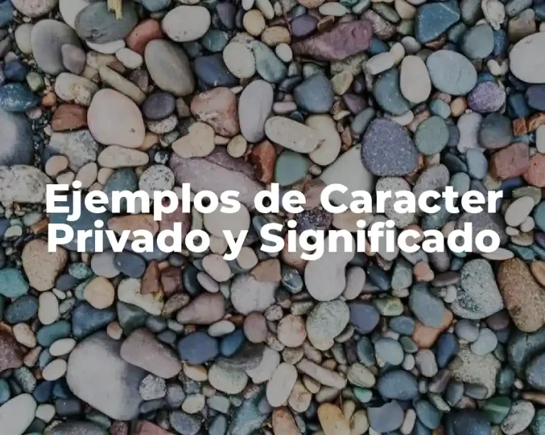 Ejemplos de Caracter Privado y Significado