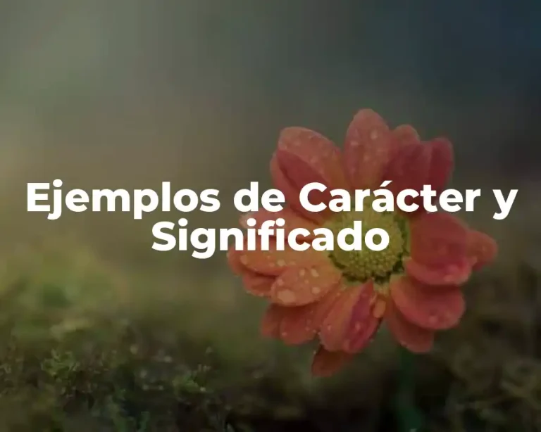 Ejemplos de Carácter y Significado
