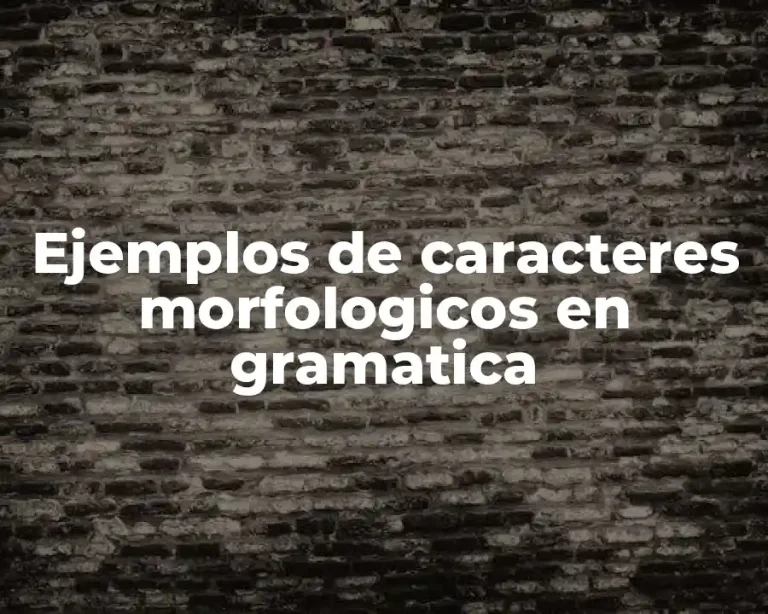 Ejemplos de caracteres morfologicos en gramatica