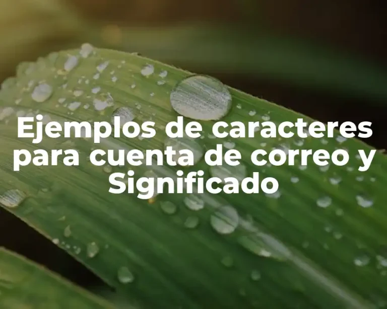 Ejemplos de caracteres para cuenta de correo y Significado