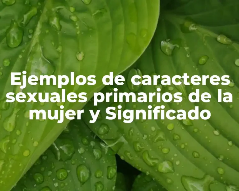 Ejemplos de caracteres sexuales primarios de la mujer y Significado