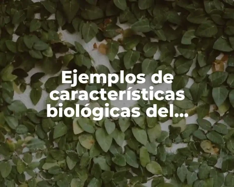 Ejemplos de características biológicas del adolescente y Significado