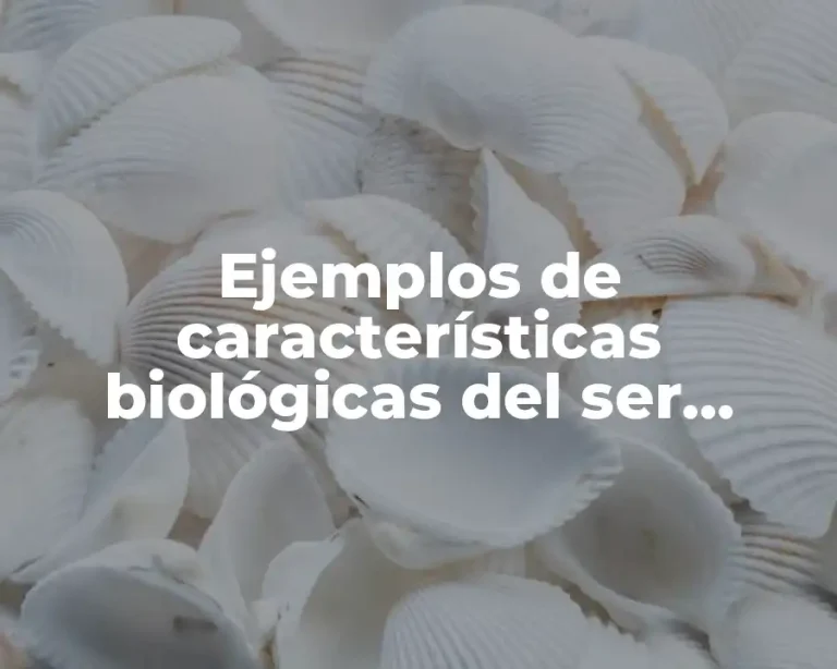 Ejemplos de características biológicas del ser humano