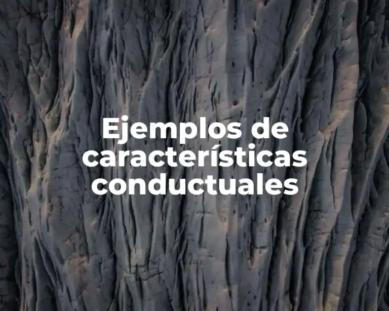 Ejemplos de características conductuales