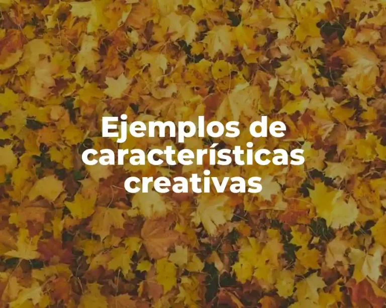Ejemplos de características creativas