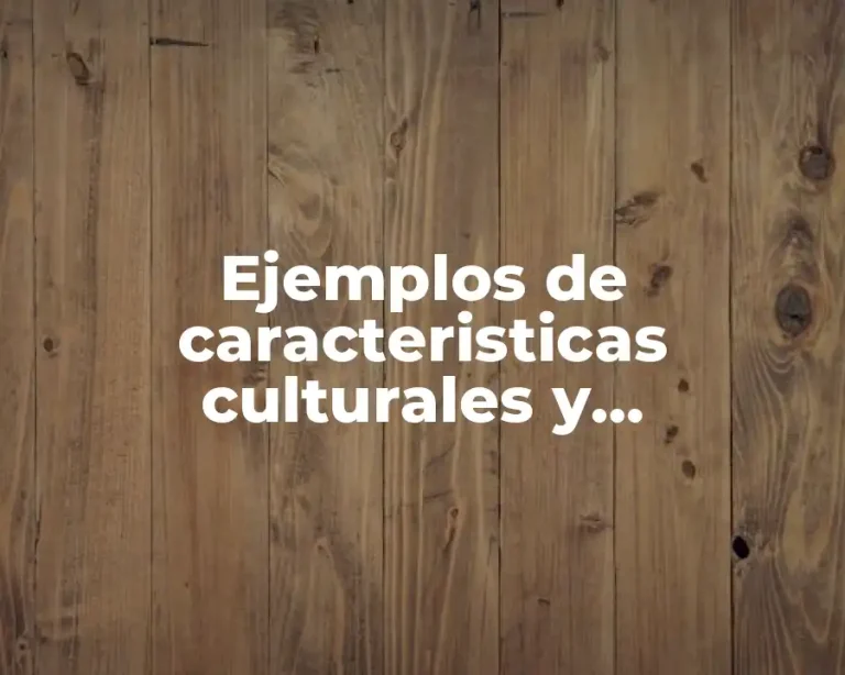 Ejemplos de caracteristicas culturales y estructurales de las empresas