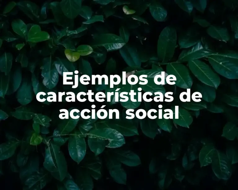 Ejemplos de características de acción social