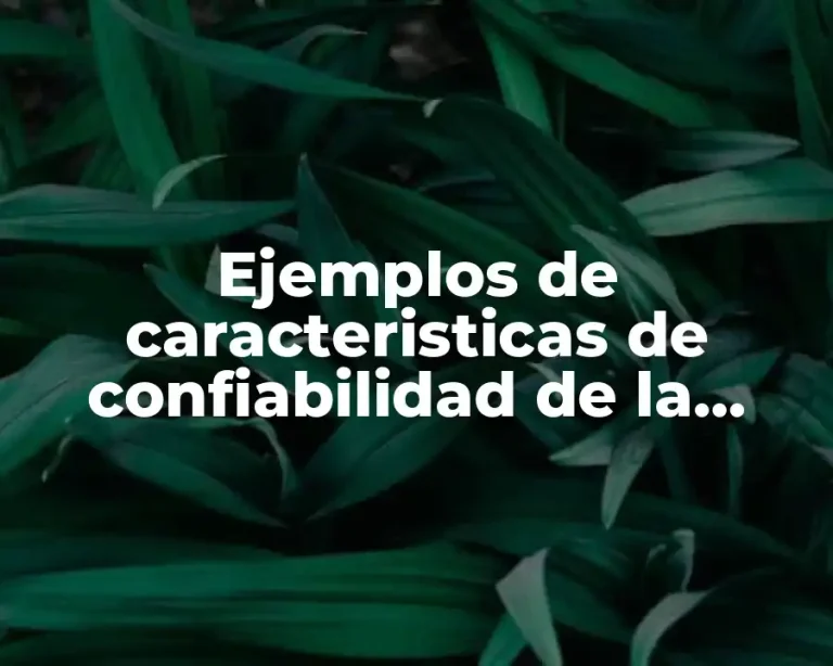 Ejemplos de caracteristicas de confiabilidad de la información financiera