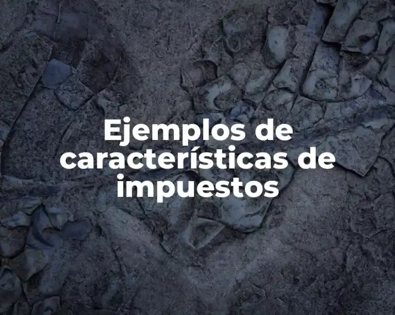 Ejemplos de características de impuestos