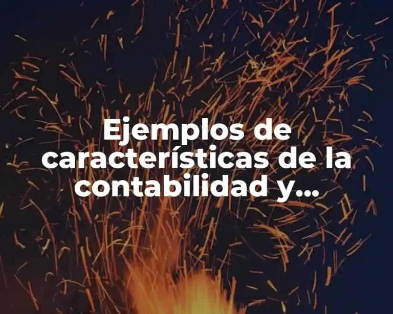 Ejemplos de características de la contabilidad y Significado